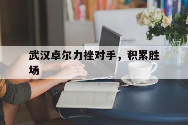 武汉卓尔力挫对手，积累胜场的简单介绍